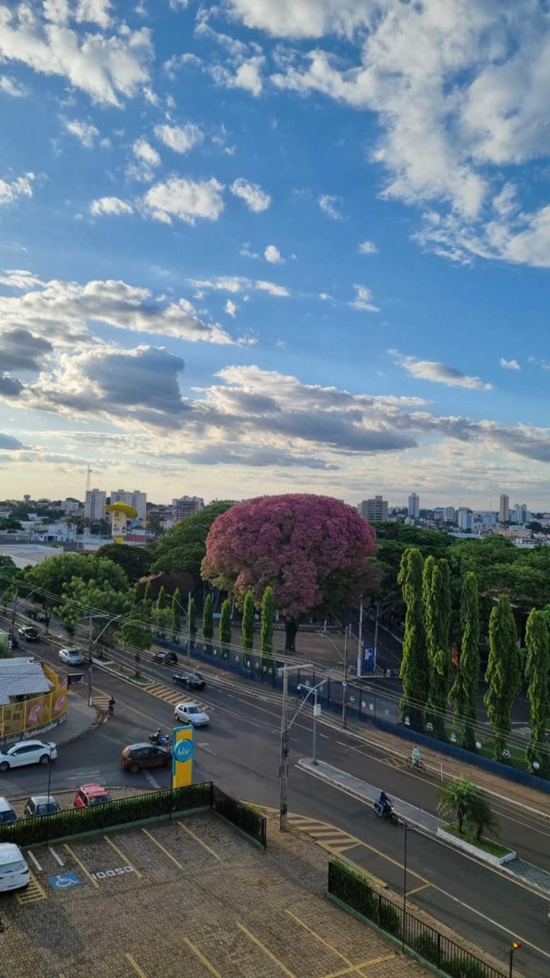 Hotel Golden Park Uberaba By Nacional Inn Pokoj fotografie
